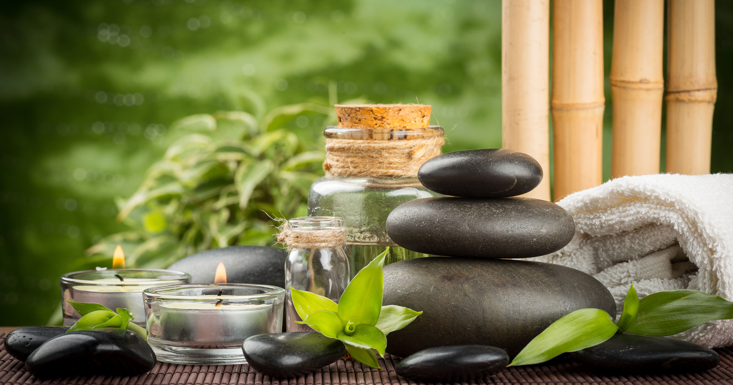 Sustainable Wellness: The Ayurvedic Approach to Living a Balanced Life